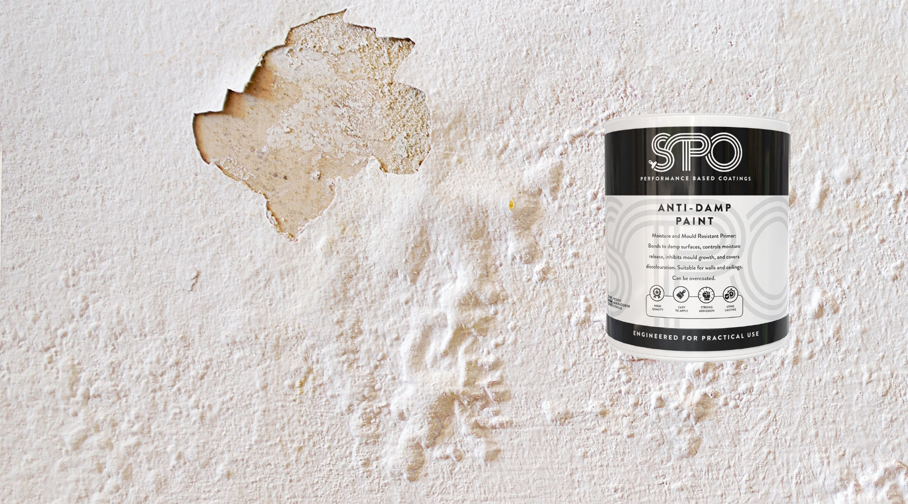 The Top Anti-Damp Paint To Paint Damp Walls