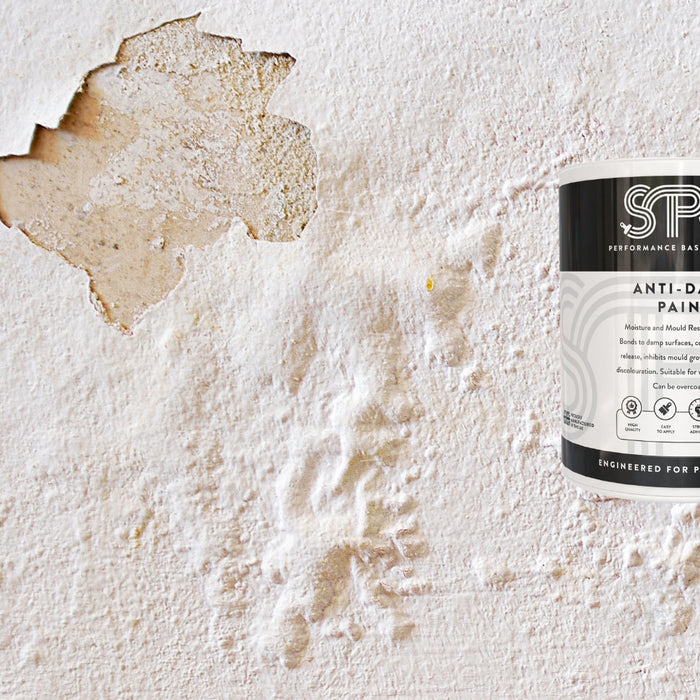 The Top Anti-Damp Paint To Paint Damp Walls