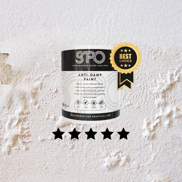 The Best Anti-Damp Paint for UK Homes and Businesses: A 2025 Guide