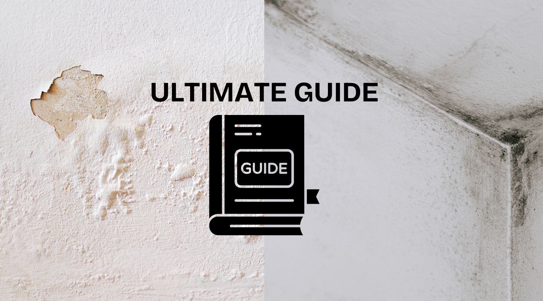 Ultimate Guide to Preventing Mould and Damp