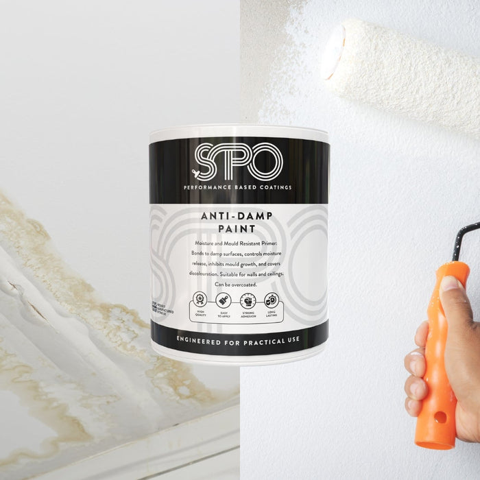 How To Paint Damp Walls and Ceilings after leaks not having to wait for them to fully Dry with SPO Anti-Damp Paint