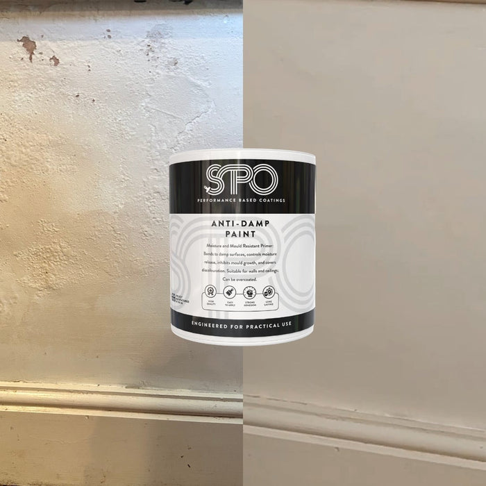 Before and After of SPO Anti-Damp Paint Painting a wall suffering from damp