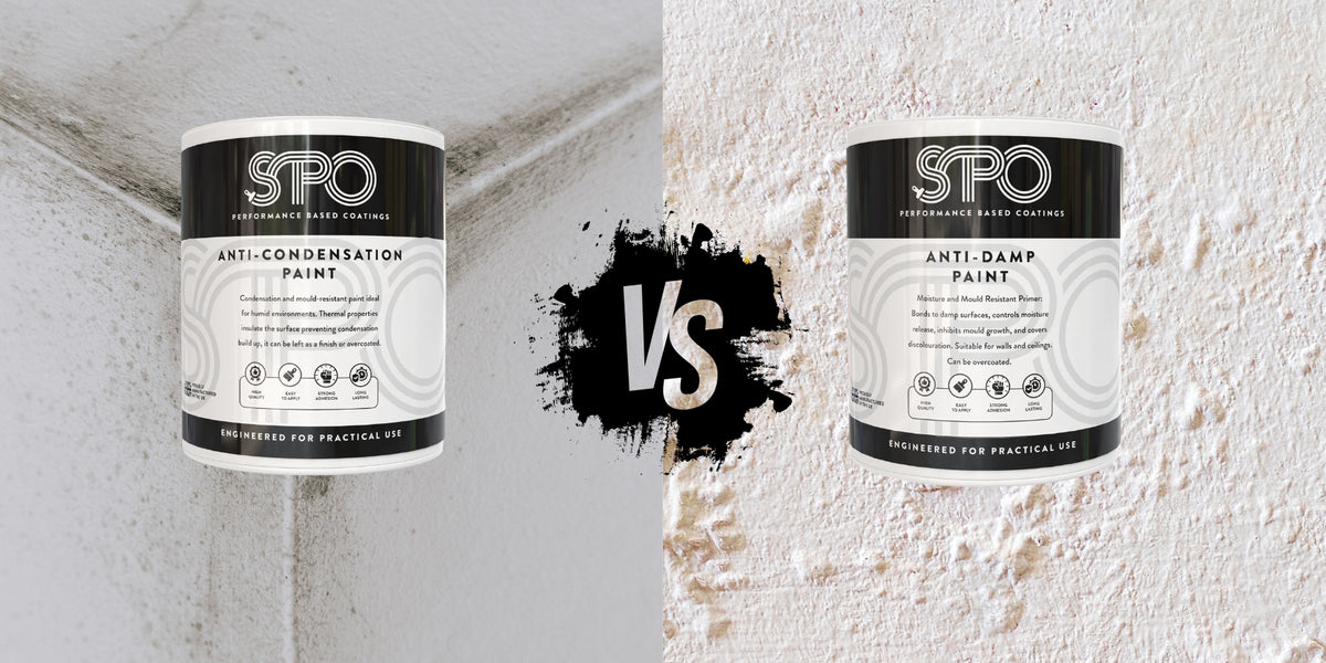 Damp or Condensation? Identify the Issue & Choose the Right Paint ...