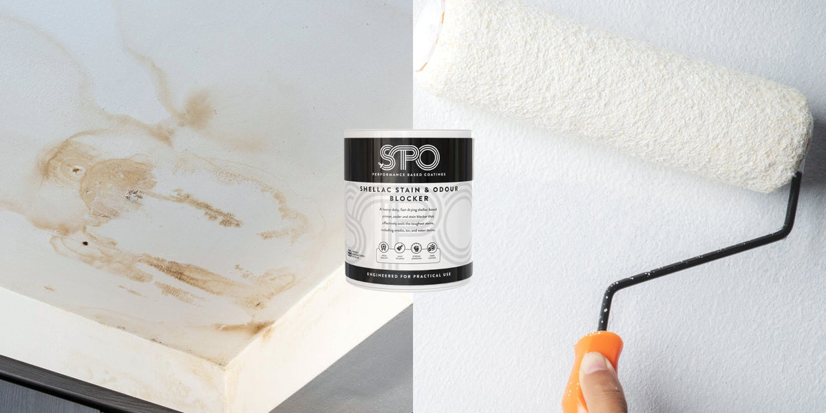 SPO Shellac: Say Goodbye to Water Stains — Specialist Paints Online