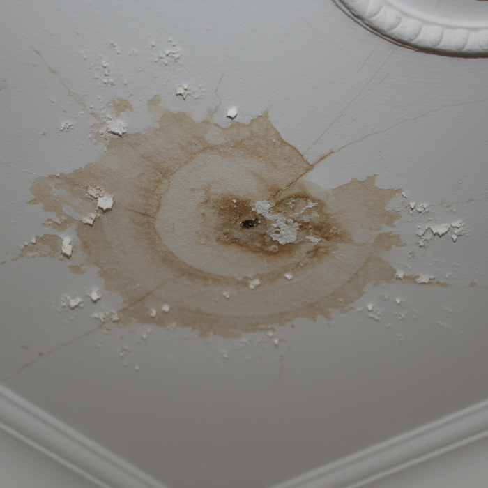 The Best Oil-Based Stain Blocker UK: Water Stains, Grease & Wood Primer