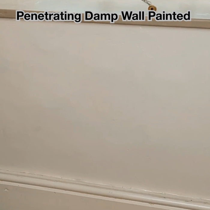 SPO Anti Damp Paint applied to a previously damp wall with clean finish.

