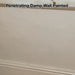 SPO Anti Damp Paint applied to a previously damp wall with clean finish.
