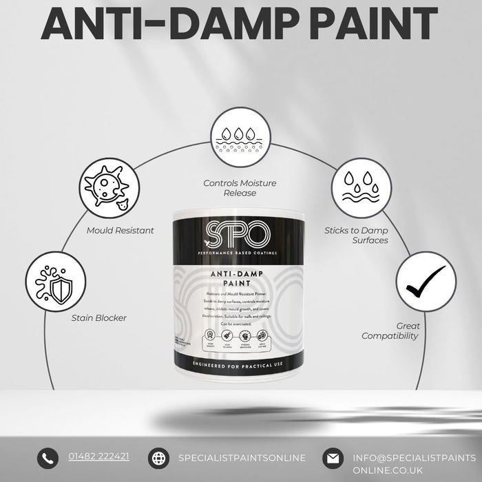 SPO Anti Damp Paint product benefits illustrated in an infographic.
