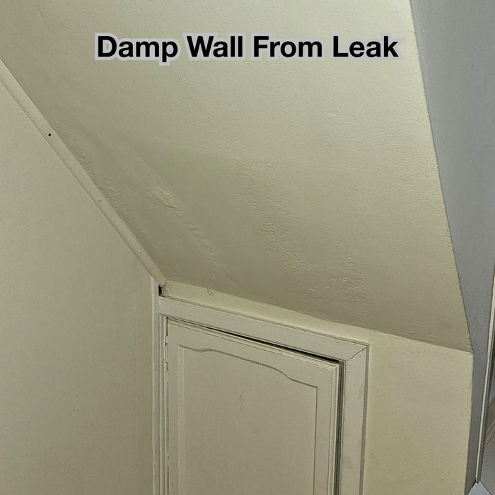 SPO Anti Damp Paint shown on a wall previously damaged by leak moisture.
