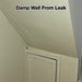 SPO Anti Damp Paint shown on a wall previously damaged by leak moisture.
